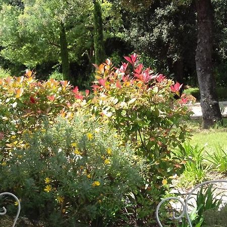 La Louvetière Hotel Roquefort-les-Pins Esterno foto